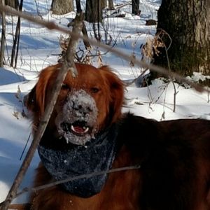 Meet your Posher, Donna